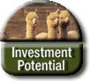 Alpaca Investment Potential