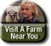 Visit an Alpaca Farm or Ranch Near You